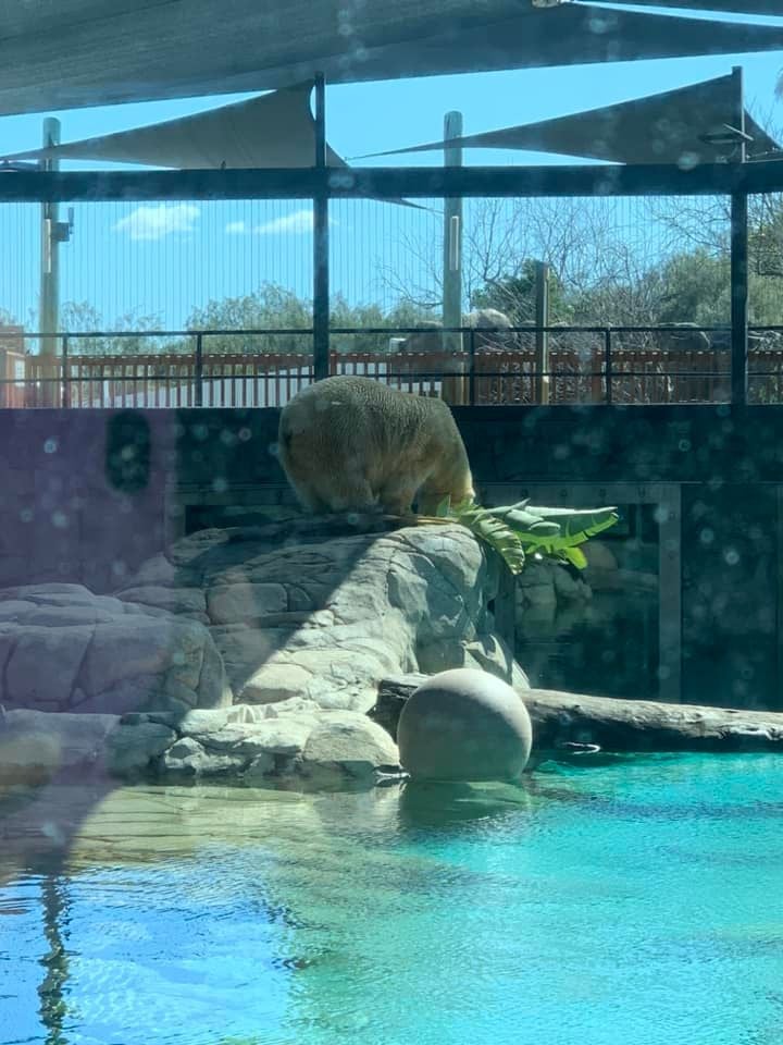 Chasing the Sun Tour 2024 Image -66b6ac92cab1f